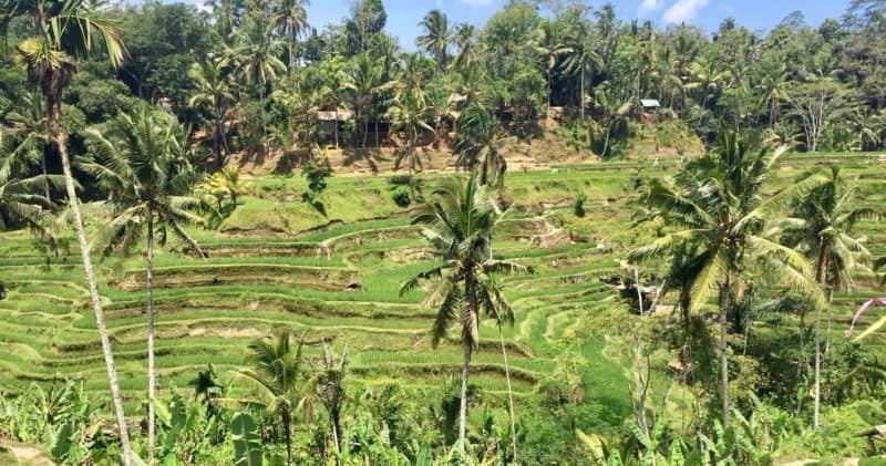 6 memorable sites near Ubud – Earth Vagabonds