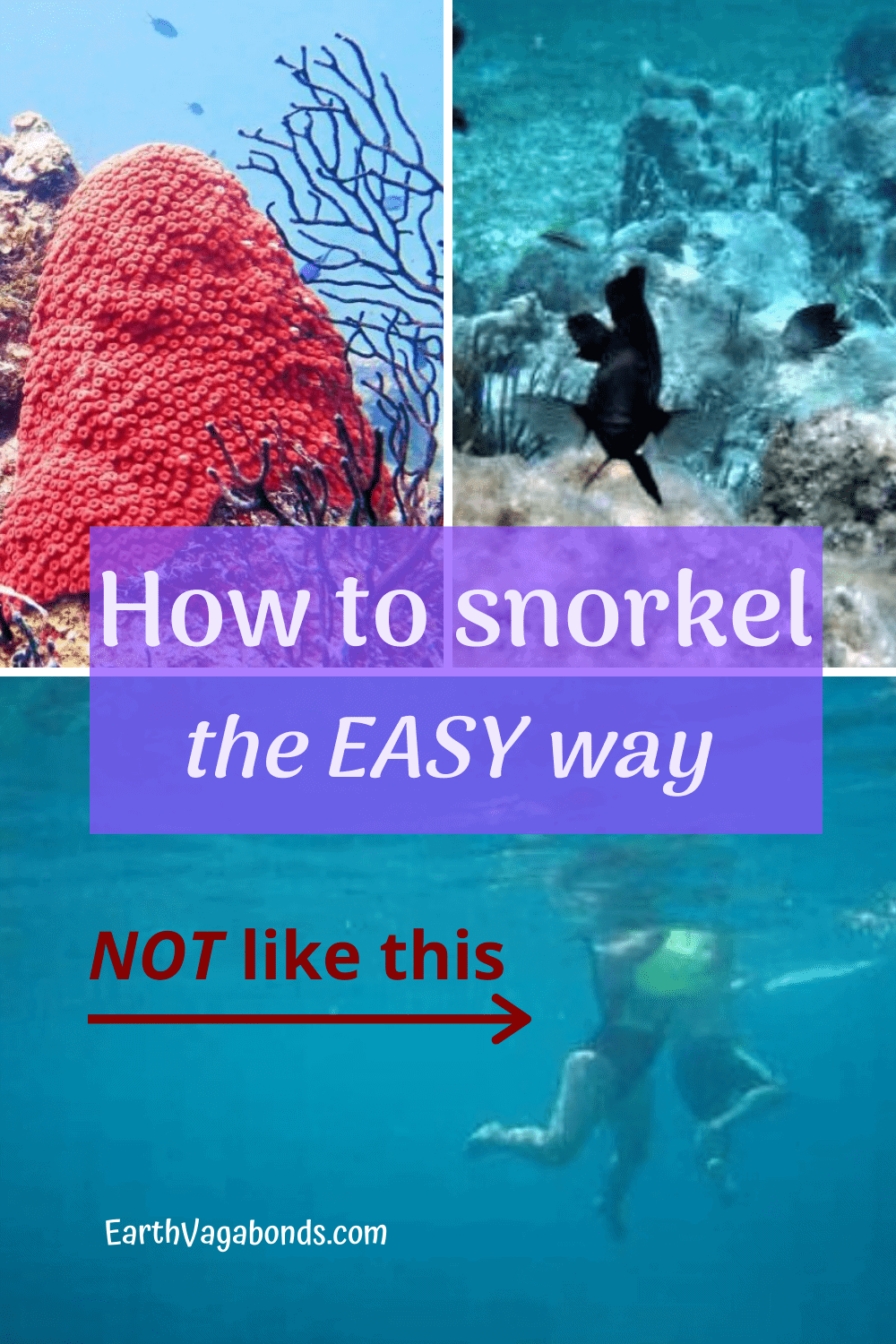 How To Snorkel The Easy, Cheap Way – Earth Vagabonds