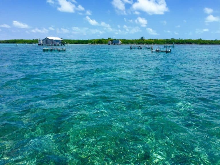 Banco Chinchorro A Treasure Trove Of Life On Huge Reef Earth Vagabonds 6366