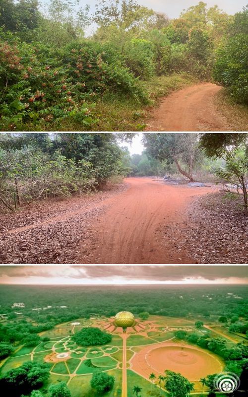 What it looks like outside Auroville, the experimental community for ...